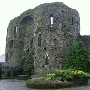 Neath Castle Lhs