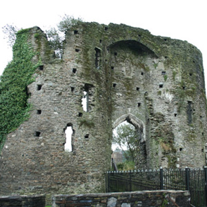 Neath Castle Rhs